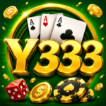 Y333